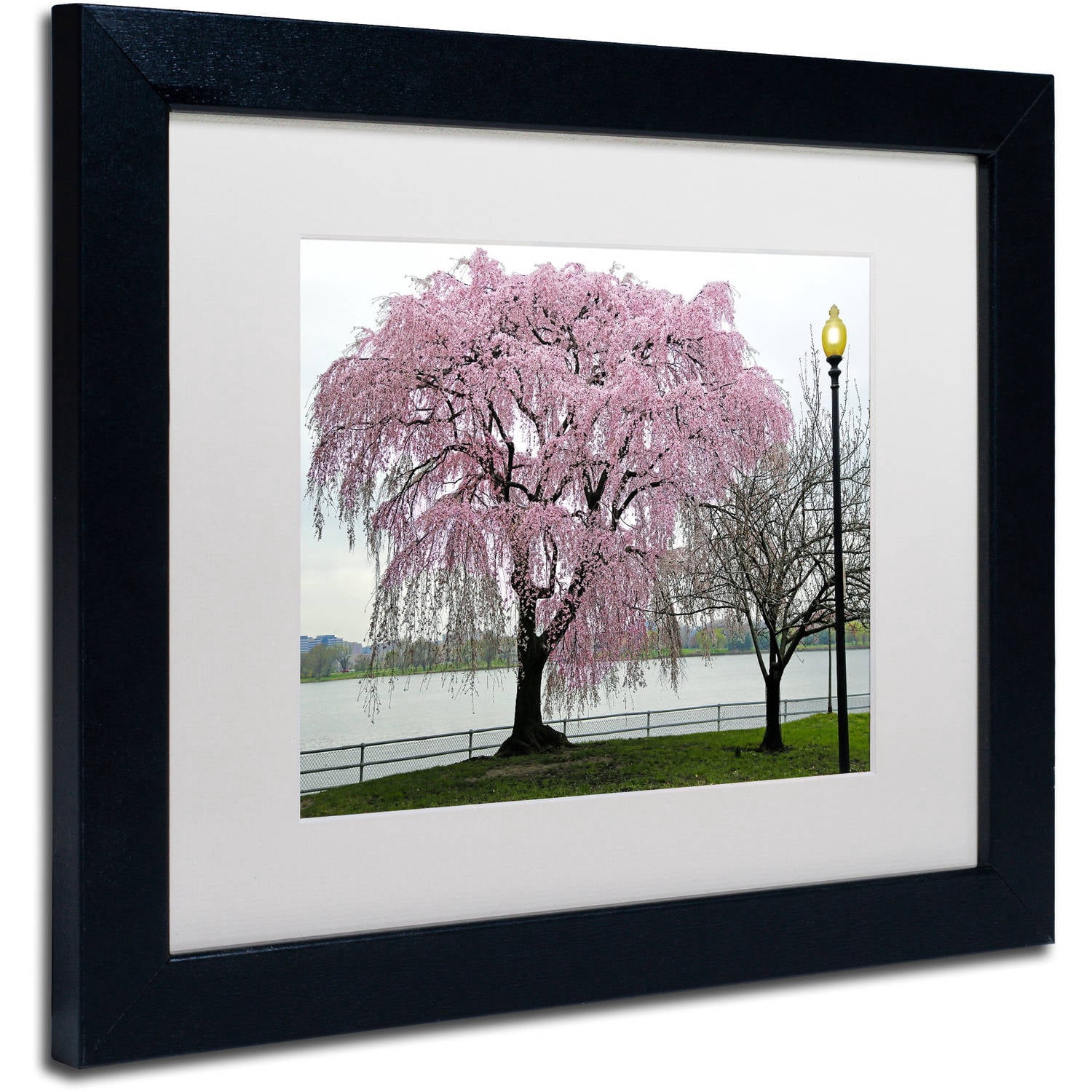 Trademark Fine Art "Cherry Tree" Canvas Art by CATeyes, White Matte, Black Frame