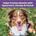 thumbnail image 3 of Wellness Old Mother Hubbard Mother's Solutions Minty Fresh Breath Natural Biscuits Dog Treats, 20 oz bag, 3 of 8