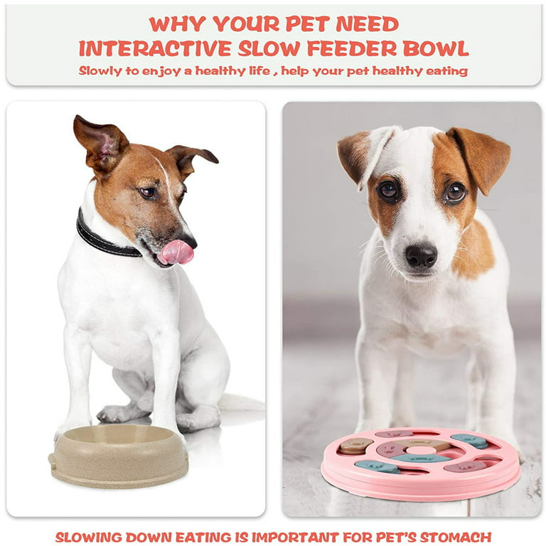  Numiko Slow Feeder Dog Bowls, Dog Puzzle Toys for  Small/Medium/Large Dogs, Interactive Puzzle Slow Feeding Dog Bowl  Enrichment Toys IQ Training 17.64 oz : Pet Supplies
