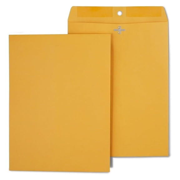 9 x 12 Clasp Envelopes, Brown Manila, Reinforced Metal Clasp & Gummed Seal, Heavy‑Duty Mailing Envelopes, 250/Pack
