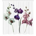 thumbnail image 3 of Ambesonne Watercolor Shower Curtain, Flourishing Environment, 69"Wx70"L, Cream Violet Dried Rose, 3 of 3