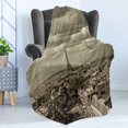 thumbnail image 4 of Paris Soft Flannel Fleece Throw Blanket, City Skyline of Eiffel and Dark Cloudy Weather Capital France Region Historical Retro, Cozy Plush for Indoor and Outdoor Use, 60" x 80", Beige, by Ambesonne, 4 of 5