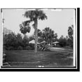 thumbnail image 2 of Historic Framed Print, Golf links, Hotel Royal Poinciana, Palm Beach, Fla. - 3, 17-7/8" x 21-7/8", 2 of 9