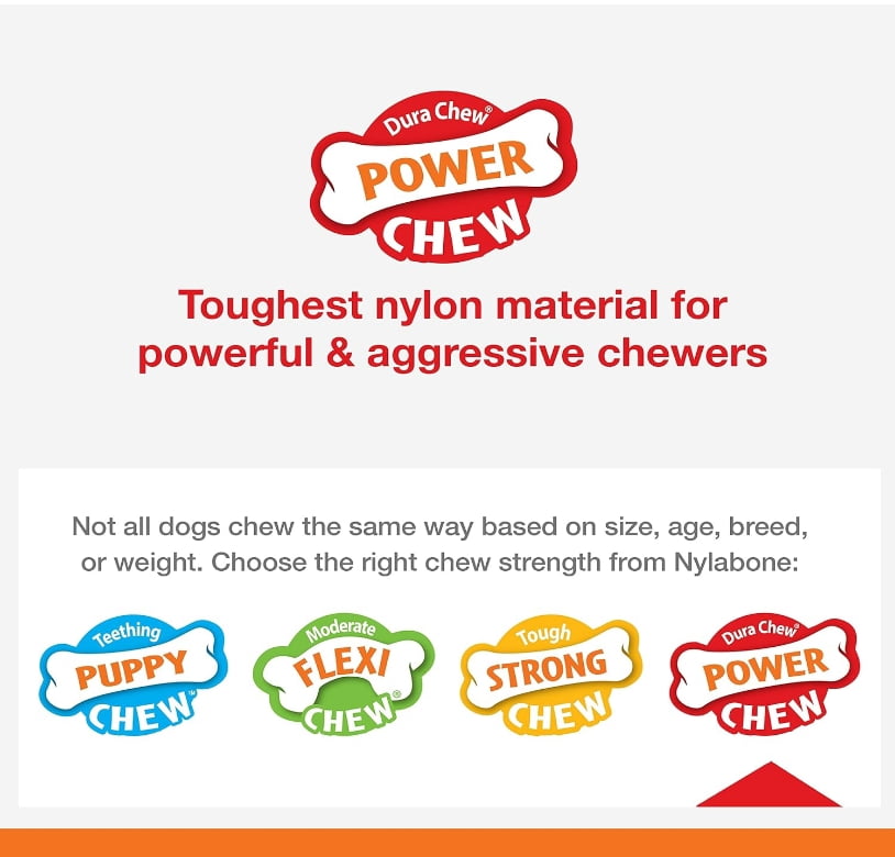 Nylabone Power Chew Basted Blast Chew Bone Bacon and Steak Flavor Small/Regular [New Dog Supplies, Dog Chew Toys, Nylabone, Dog Supplies] 2 count