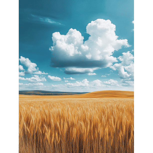 Qisvanset Framed Canvas Wall Art 12x16 Inch Cloud Sky Country Vintage Minimal Photo Art