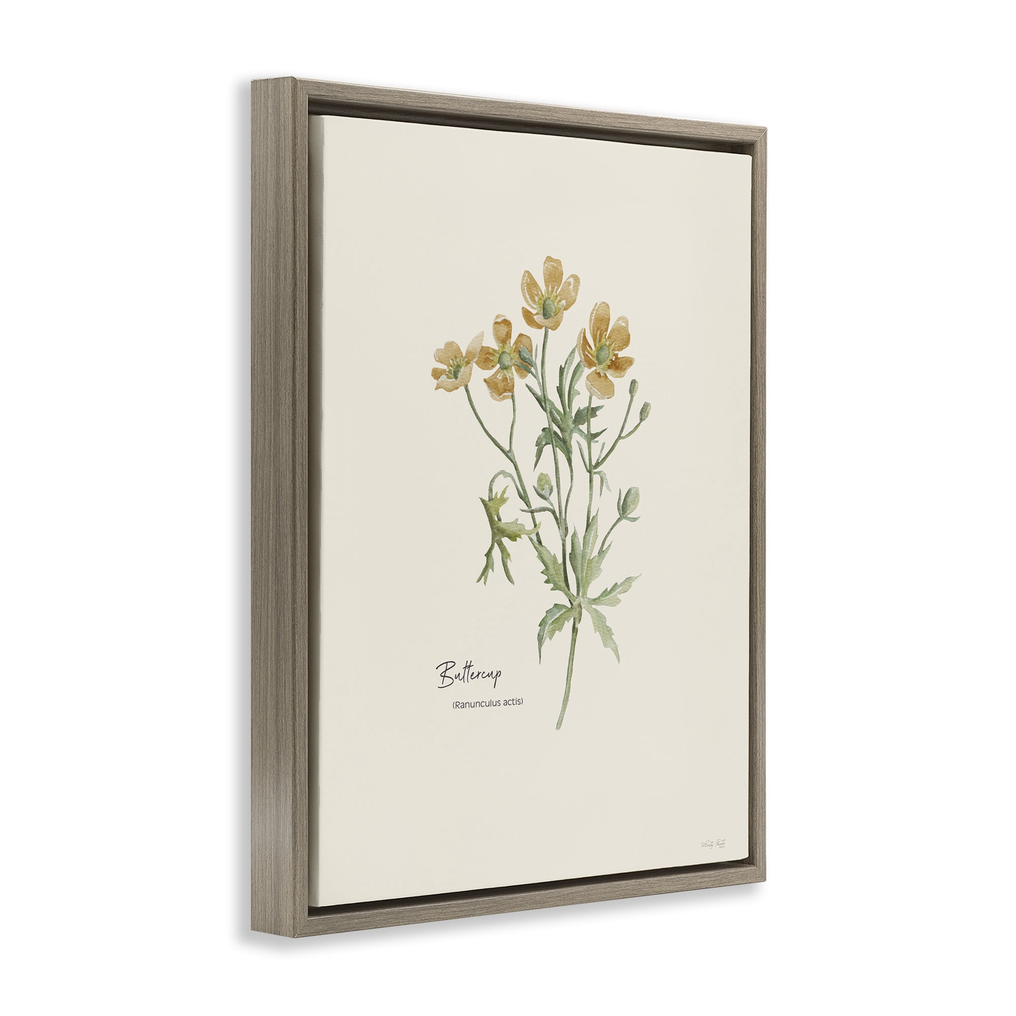 Stupell Industries Simple Buttercup Flowers Botanical & Floral Painting Brown Floater Framed Art Print Wall Art, 17 x 21