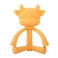 thumbnail image 1 of Xuewenshw Toddlers Baby Teething Toys Soft Silicone Fruit Teether Holder Books 6 12 Months, 1 of 1