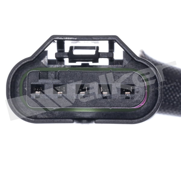 O2 Sensor 5-W Wideband D