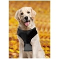 thumbnail image 2 of As Seen on TV Lucky Leash Magnetic Harness & Retractable Leash - Size L/XL (36 - 80 lbs), 2 of 4
