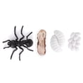 thumbnail image 1 of VGEBY Insect Life Cycle Figurines Growth Model Toy Kid Cognitive Educational Toys, 1 of 8