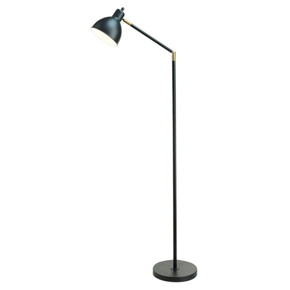 Catalina Lighting 20093-001 Modern Adjustable Metal Floor Lamp with Brass Accents, 54.5", Classic Black