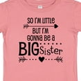 thumbnail image 4 of Inktastic So I'm Little, but I'm Gonna Be a Big Sister Girls Baby T-Shirt, 4 of 5