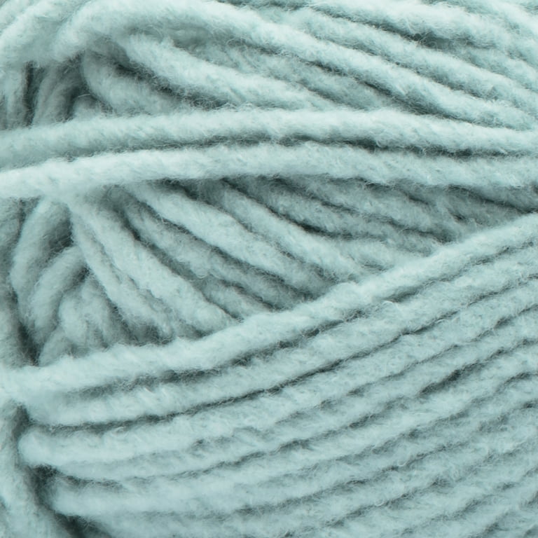 (Pack of 2) Bernat Forever Fleece Yarn-Smoke