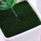 thumbnail image 4 of FUTUREORYY Maceta Artificial De Plástico Con Musgo Decorativo Ideal Para Escritorios Y Repisas, 4 of 7