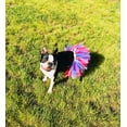 thumbnail image 5 of 4th Of July Dog Tutu Skirt | XS-XXXL, 5 of 11