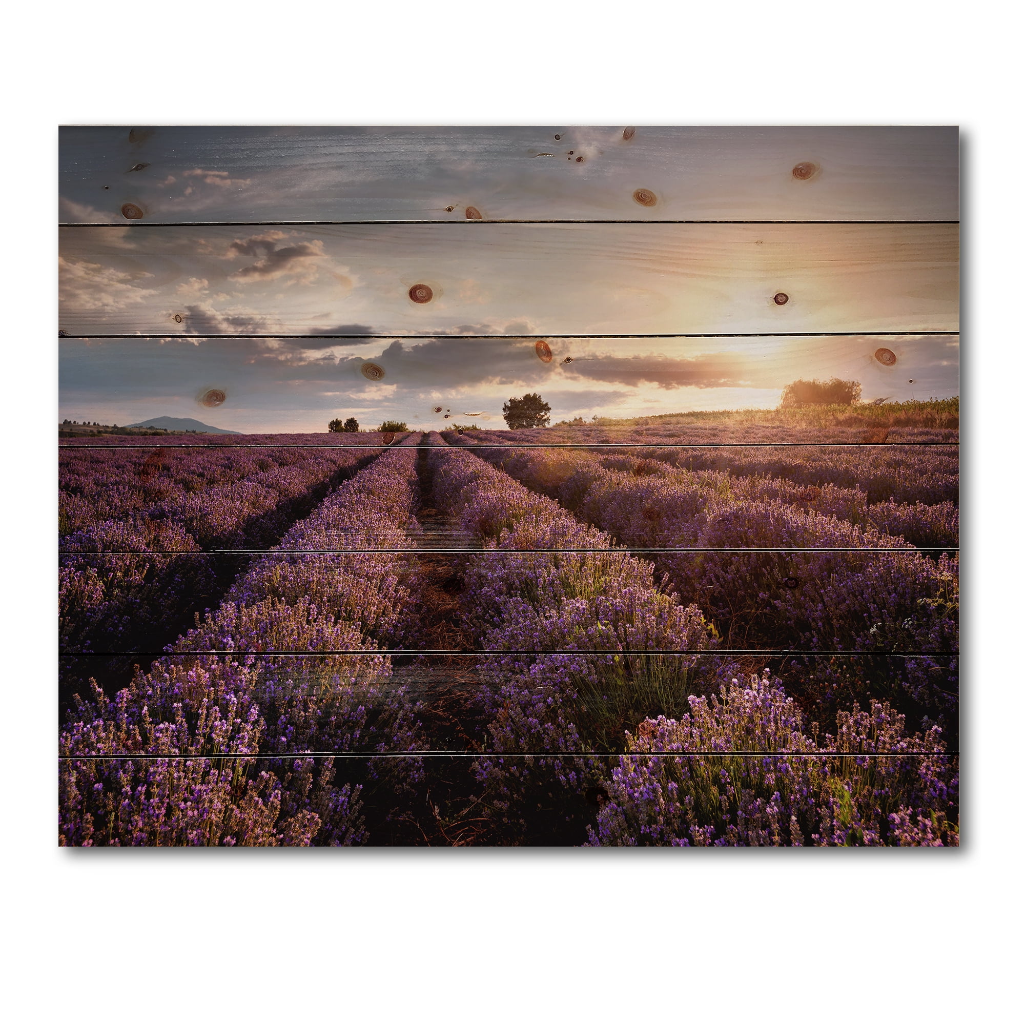 Designart 'Dramatic Clouds and Sunrise Over Lavender Field V' Farmhouse Print on Natural Pine Wood