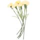 thumbnail image 1 of 6 piezas de claveles artificiales de imitación para decoración, regalo para festivales., 1 of 6