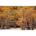 thumbnail image 3 of Podt, Martin 14x11 Black Modern Framed Museum Art Print Titled - Autumns Painting, 3 of 5
