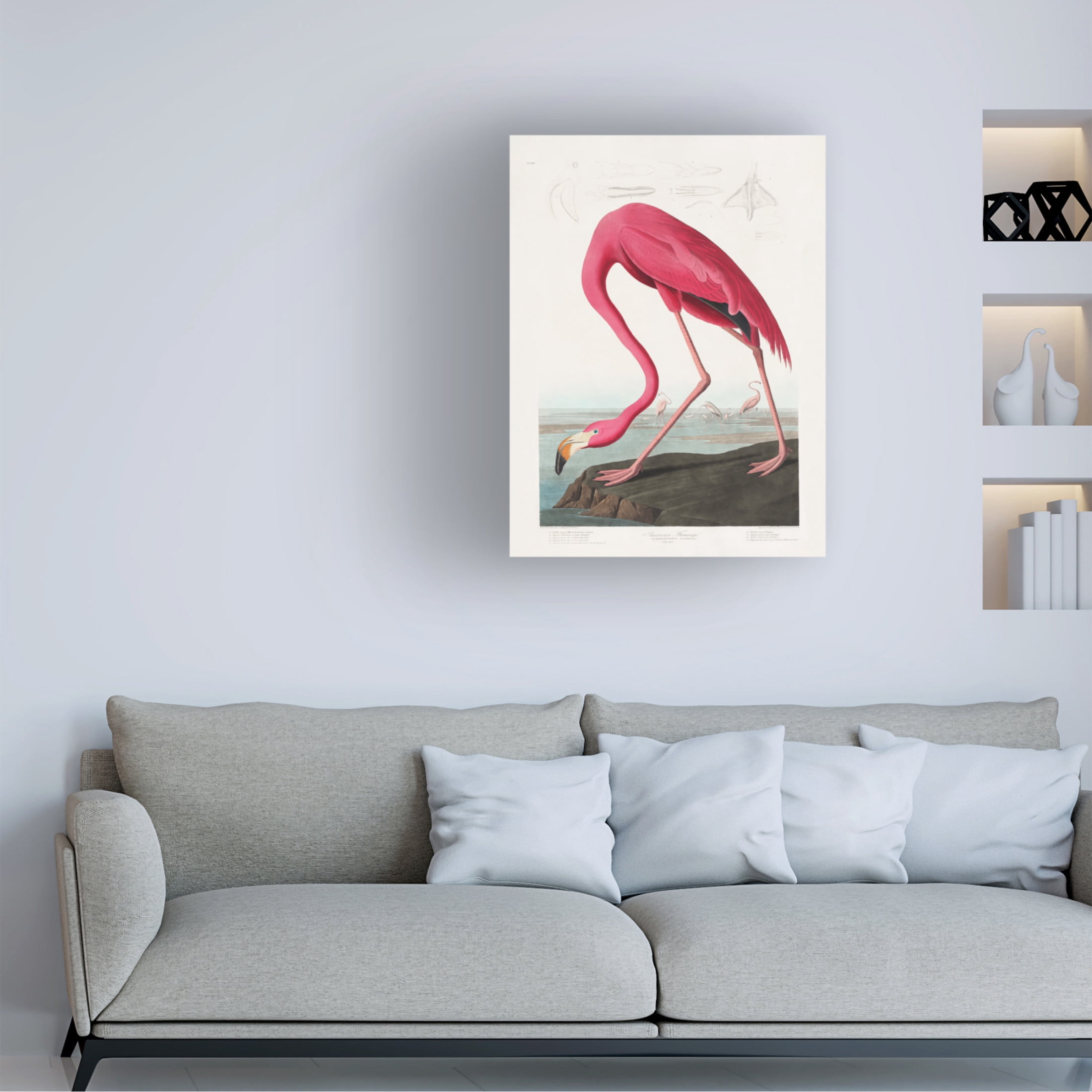 Trademark Fine Art Pictufy   Pink Flamingo From Birds of America 1827 Canvas Wall Art