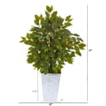thumbnail image 2 of Nearly Natural 17 inch Mini Ficus Artificial Tree in Embossed White Planter, 2 of 2