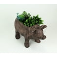 thumbnail image 2 of Zeckos Brown Resin Smiling Pig Planter Outdoor Décor 17 inch, 2 of 7