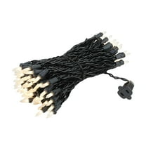 Novelty Lights Frosted White 100 Light Incandescent Mini Christmas String Lights Black Wire 50 Feet