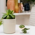 thumbnail image 2 of Educational Toy for Kids Brain Teaser Dinosaur Model for Relatives and Small Interactive Puzzle Toy, 2 of 6