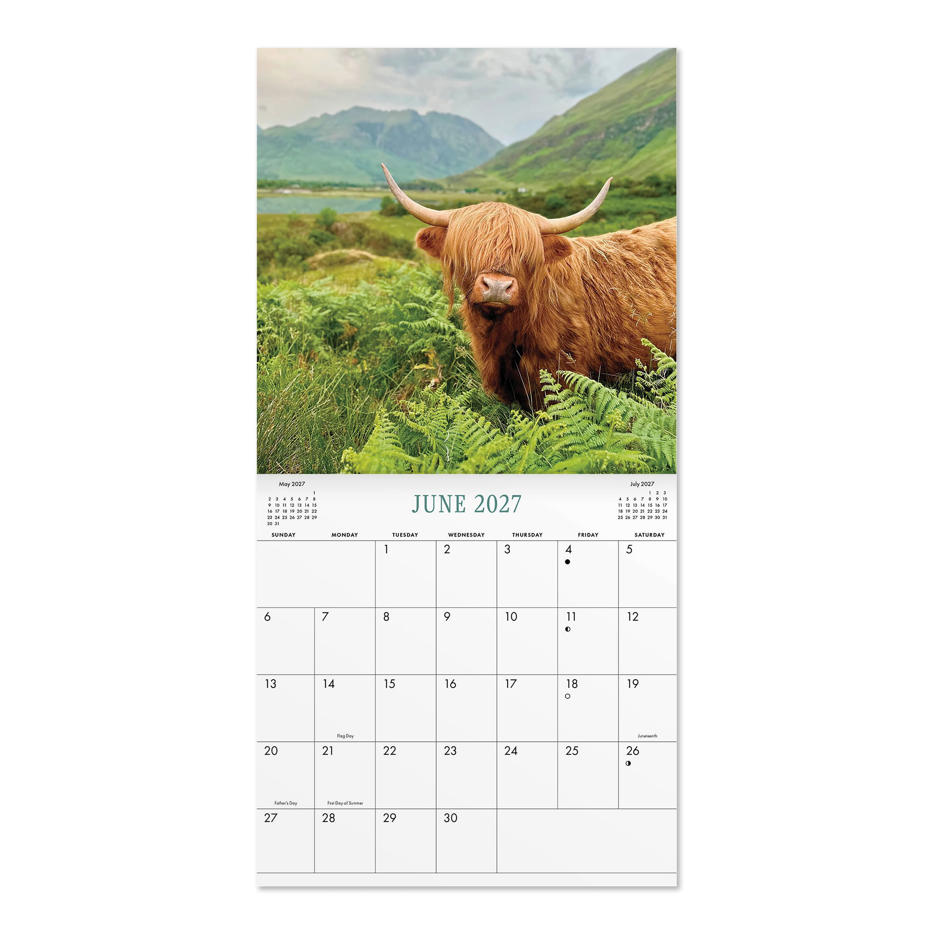 2027 Highland Cows Mini Hanging Wall Calendar 7x7 January-December Gridded