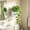 Free Size, variant on Wall Mounted Hydroponic Plastic Planter,Semi-Circular Self-Watering Flower Pot,Herb Green Plant Growing Container,Space Saving Home Office Decor,Transparent Design With Drainage And Ventilation
