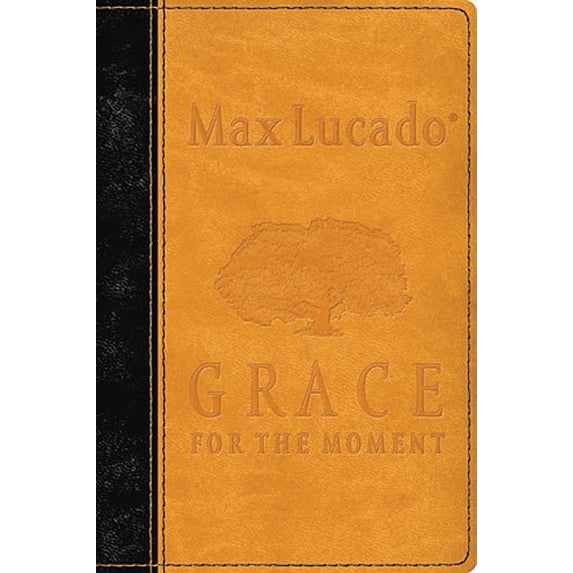 Pre-Owned Grace for the Moment: Inspirational Thoughts for Each Day of the Year (Unknown) 1404113371 9781404113374