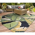 thumbnail image 3 of Couristan Covington Rainforest Indoor/Outdoor Area Rug, 7'10" Round, Forest Green-Black, 3 of 3