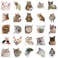 thumbnail image 4 of 50-Pack Cute Cat Sticker Pack Beautiful Cats Decals for Fans Colorful Cars Laptops Skateboards Water Bottle Bicycles Cell Phones Guitar Trunk Window Teens, 4 of 4