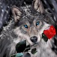 thumbnail image 2 of Red Rose Snow Wolf 5D DIY Diamante Pintura Rhinestone Taladro cuadrado completo para habitación Sywqhk Decoración hogareña, 2 of 2