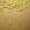 Gold, variant on UDIYO 100Pcs/500Pcs Earring Hook Coil Ear Wires for DIY Jewelry Making Findings Repair