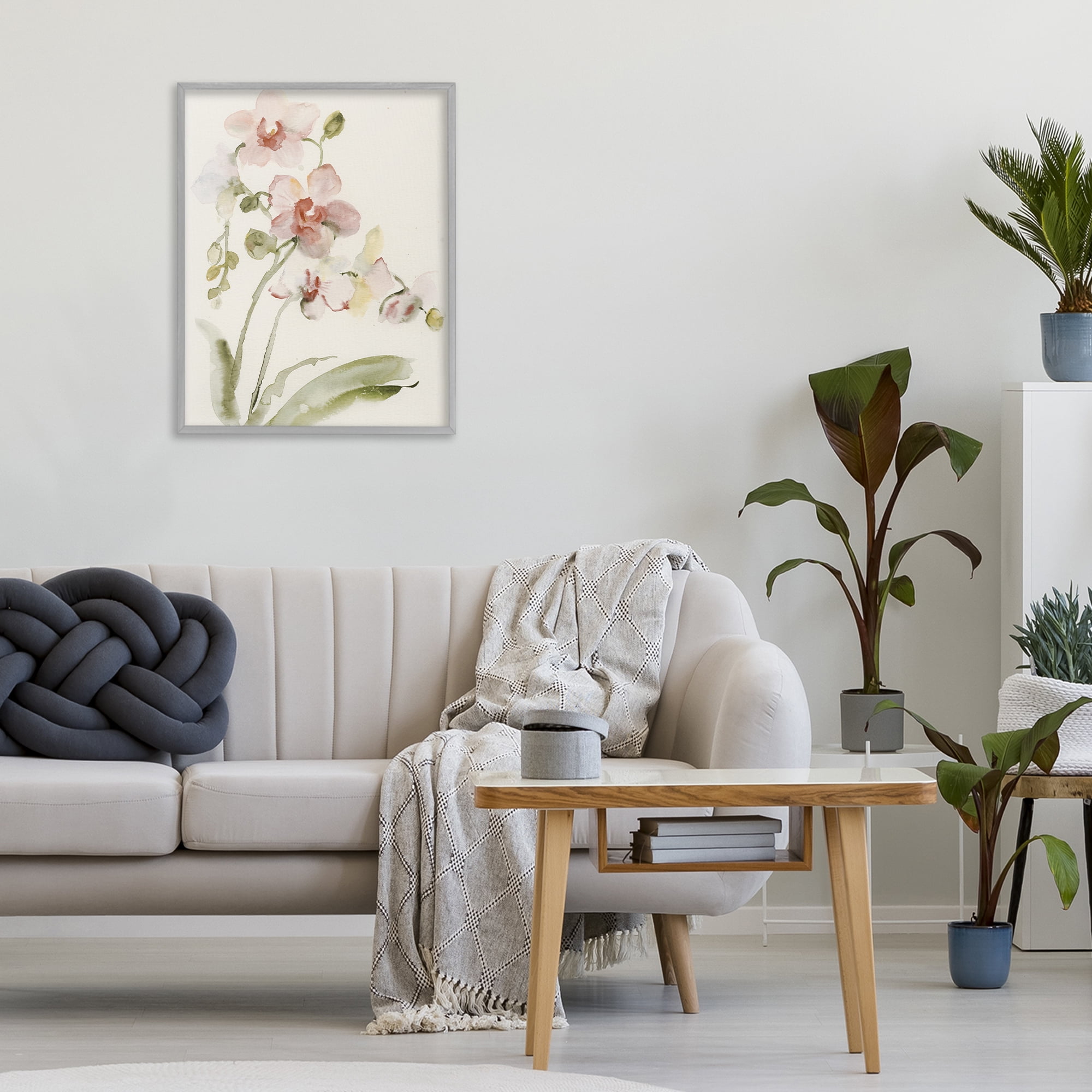 Stupell Industries Gentle Pink Orchid in Bloom Gray Framed Giclee Art, design by Victoria Barnes