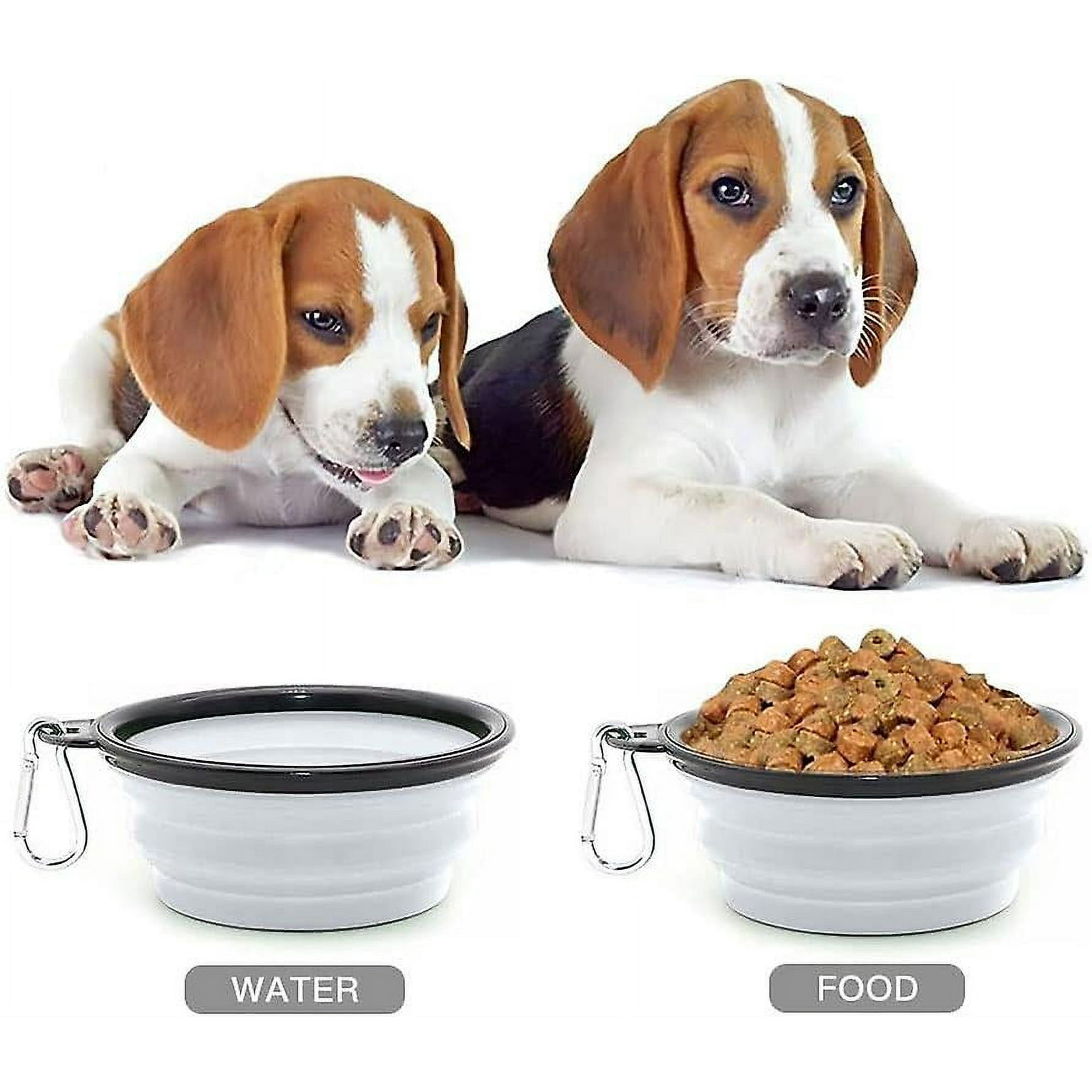Purple dog bowl hot sale