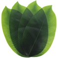 thumbnail image 1 of 4pcs Artificial Banana Leaves Faux Leaves Hawaiian Luau Party Decorative Leaves, 1 of 4