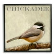 thumbnail image 2 of Stupell Industries Chickadee Bird Tree Branch Text Illustration Framed Wall Art, 24 x 24, Design by Alpenglow Workshop, 2 of 5