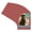 Brick Red, variant on Raspberry Red Picture Frame Mat for 12x16 Frames - Oval Opening for 10x14 Photos - 25 Mats
