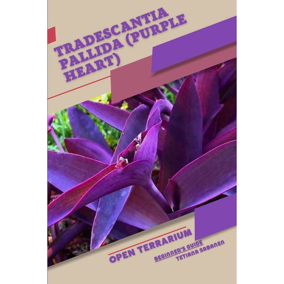 Tradescantia pallida (Purple Heart): Open terrarium, Beginner's Guide, (Paperback)