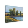 thumbnail image 2 of Trademark Fine Art 'Trees Reflection II' Canvas Art by Tim OToole, 2 of 4