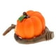 thumbnail image 5 of 3 Comederos Para Pájaros Con Forma De Calabaza, Bebedero Para Alimentos Y Agua, Dispensador Para Loros Sunnimix Alimentador del loro del pájaro del animal doméstico, 5 of 8