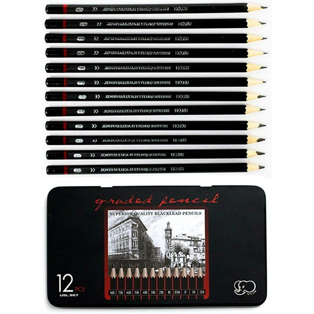 Cribun Professional Drawing Sketch Pencils Set of 12, (2H-8B), Ideal for Drawing Art, Sketching, Shading, Artist Pencils for Beginners & Pro Artists