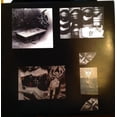 thumbnail image 5 of Earl Sweatshirt - I Don't Like Shit, I Don't Go Outside: An Album By Earl Sweatshirt - Music & Performance - Vinyl, 5 of 5