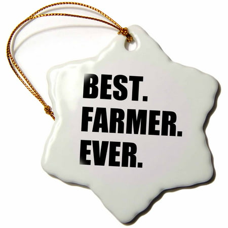 3dRose Best Farmer Ever - fun gift for farming job - farm - black text, Snowflake Ornament, Porcelain, (Best Jokes To Tell At A Party)