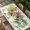 Green, variant on Easter Rabbits Table Cloths for 5 Foot Rectangle Tables, Watercolor Flowers Eggs Cute Bunny Butterflies Patio Waterproof Elastic Fitted Tablecloths, Washable Rectangular Table Cover for Camping