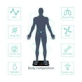thumbnail image 3 of Noerden Minimi Smart Body Fat Scale with Bluetooth Detailed Body Composition Analysis, Black, 3 of 7