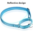 thumbnail image 4 of Collier d'Entraînement de Sécurité, Boucle Réfléchissante Réglable, Collier Antidérapant Robuste pour Petits Chiens, 4 of 5