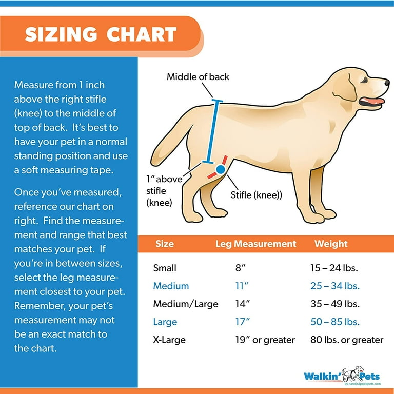 Dog Brace Back Leg Support Pair of Hock Braces for Hind Legs Knee