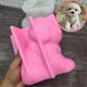 thumbnail image 3 of Molde para perro Yuxing Molde de silicona para velas en 3D color rosa, 3 of 5